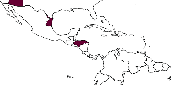 map of Dreisbachia navajo     (Townes & Townes, 1960)